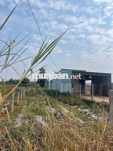 mặt tiền Ngô Sỹ Liên giá đầu tư