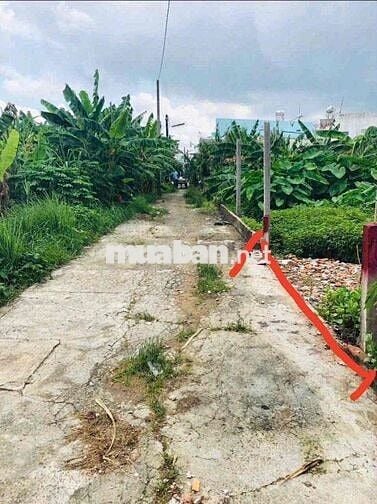 bán nền hẻm 5 trần vĩnh khiết , p an bình cần thơ 580 triệu