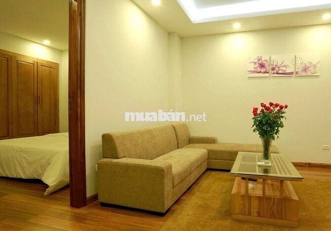 Chính chủ cần cho thuê gấp căn hộ đủ đồ 1K1N, 40m2, KV Trần Duy Hưng