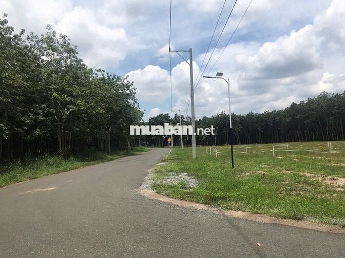 ĐẤT NGAY KHU ĐÔ THỊ MỚI CHƠN THÀNH, GẦN TRUNG TÂM HÀNH CHÍNH