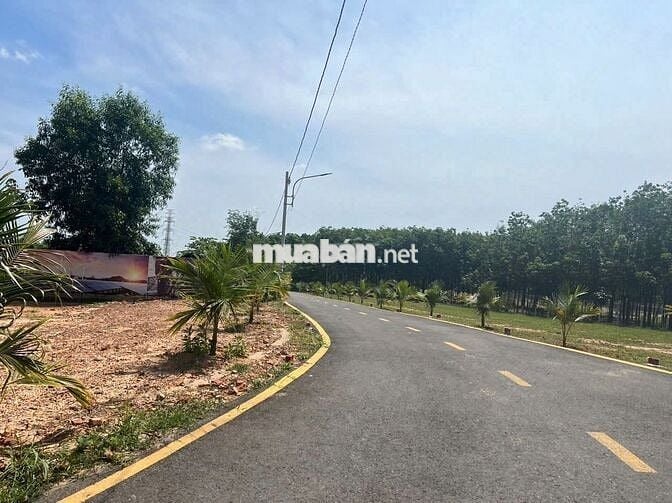Đất thổ cư 100m² mặt tiền DT741, ngay trung tâm Phú Giáo, sổ riêng