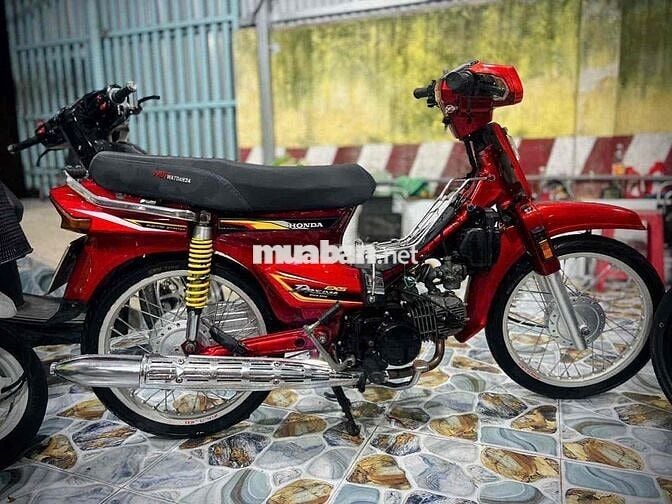 Dream kiểng dọn bao phê