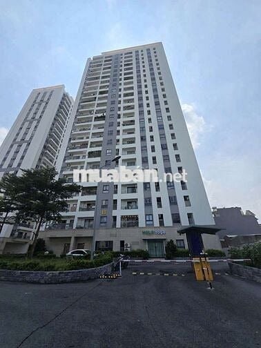Chung cư iris Tower, 52 m² sổ hồng: 1, 450 tỷ. Nhận ký gửi