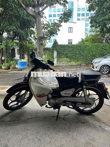 sumotor cub 50cc 2022