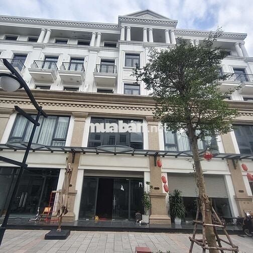Bán shophouse 5 tầng Vinhomes Ocean Park 1, 85m, giá chỉ 8,5 tỷ