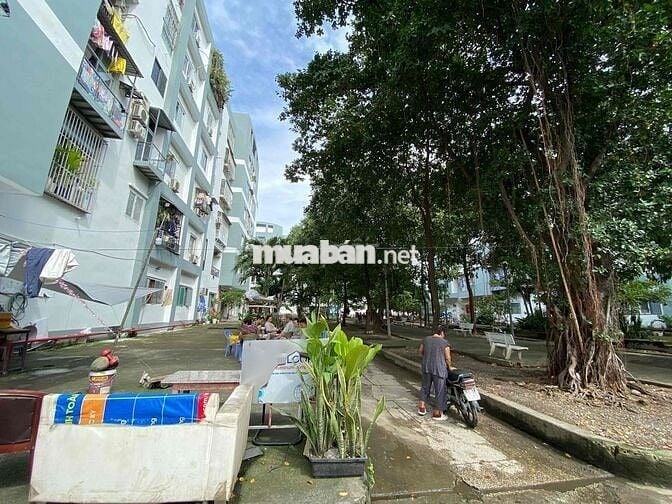 Cần cho thuê căn hộ 2 pn  cc Hiệp Bình Chánh - Giá 5tr