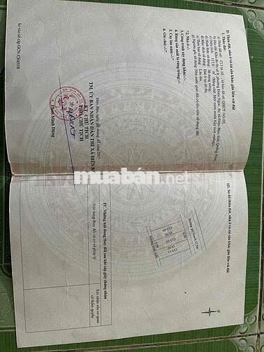 BÁN NHANH LÔ ĐẤT ĐẸP GẦN CHỢ ĐIỆN NGỌC-ĐIỆN BÀN ĐÔNG GIÁ CỰC RẺ