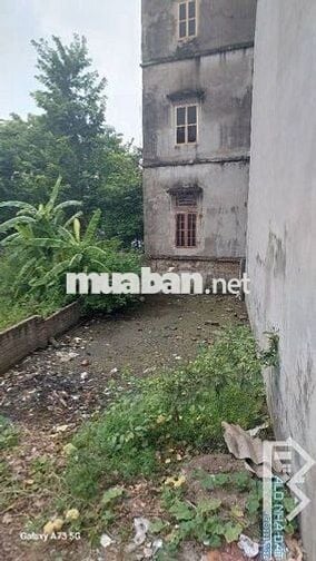 Bán đất Kiêu Kỵ cũ - vuông vắn  - Giá 3xx tỷ