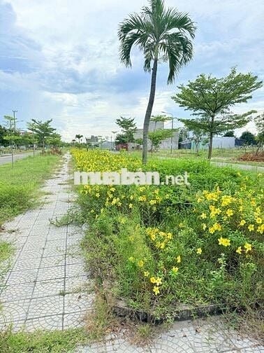CHÀO BÁN LÔ ĐẤT CỰC ĐẸP ĐƯỜNG 40m-MẶT TIỀN 6m.GIÁ CHỈ 3,4 TỶ