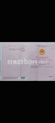 Bán thửa 148 tờ 8 phú lợi 700 triệu