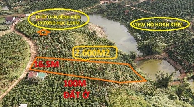 2.600m2 sẵn 100m TC Ven Đà Lạt 769tr/xào