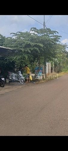 Bán 1.000m2 đất Xã Xuân Bảo 1 tỷ 4