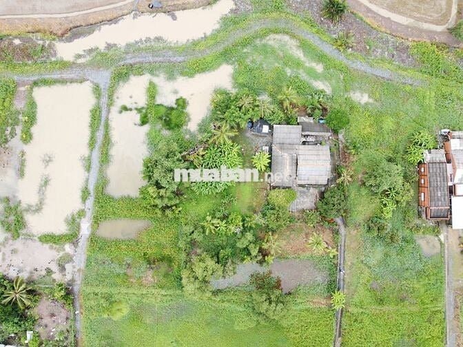 Chính chủ cần bán đất Long An - Tây Ninh