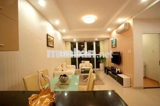 Cần cho thuê căn hộ chung cư Tân Phước Plaza, 1PN đầy đủ nội thất