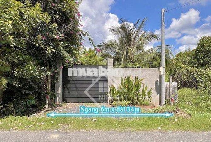 NHÀ VƯỜN SỔ SẴN – 6x34M, VƯỜN CÂY ĂN TRÁI, ĐƯỜNG NHỰA, DÂN CƯ HIỆN HỮU