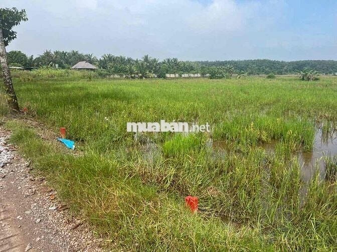 Chủ cần tiền nên bán gấp lô đất xã An Tây, Bến Cát, Bình Dương
