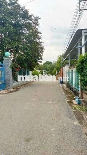 Bán đất mặt tiền nhựa lai hưng phường bến cát