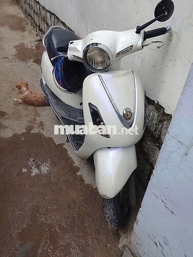 Bán xe Elizabeth có giấy