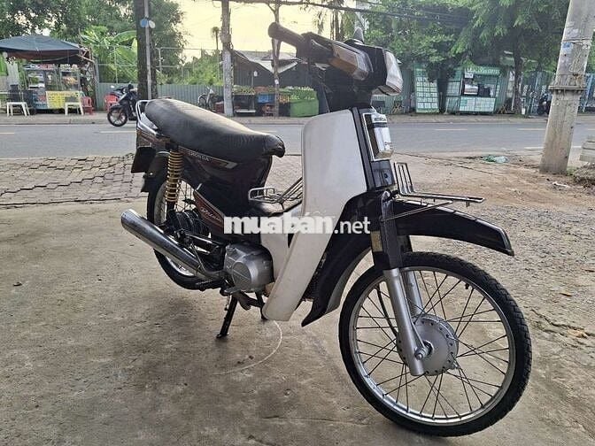 DIM Hàn quốc . Bstp . Cà vẹt đầy đủ .