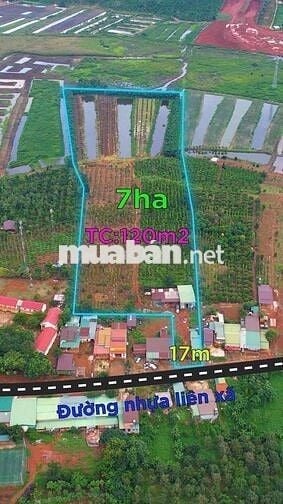 Cần bán 17m đất mặt đường+7héc đất nông nghiệp