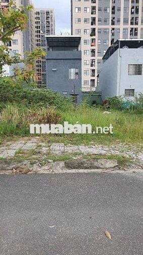 Em Ruột Cần Bán , Gấp , Có bớt Cho Ai thiện chí