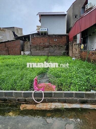 BÁN ĐẤT THỔ CƯ 79M TẠI YÊN PHÚ _YÊN MỸ_HƯNG YÊN_NỞ HẬU