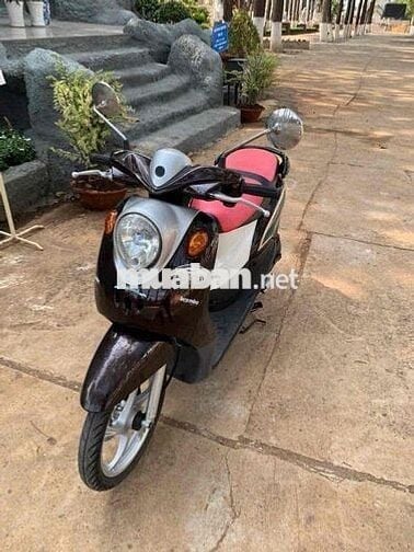 CHXM 28 bán Yamaha classico