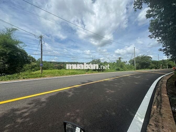 19x31 chuẩn bị tách làm 2. Đất ODT thoải mái xây dựng 320tr nhé khách