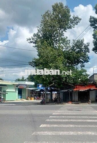 MẶT BẰNG 9m x 6m MẶT TIỀN CHỢ BÀU NĂNG- giá 8 triệu còn thương lượng
