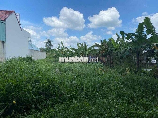 ĐẤT NGỘP LƯU BÌNH HƯƠNG 270m2 - GIÁ 650tr CÒN THƯƠNG LƯỢNG, SHR,