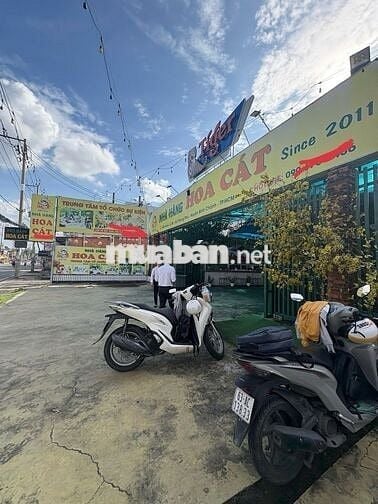 Sang nhượng nhà hàng mặt tiền QL50 Bình Chánh - Rộng hơn 1000m2