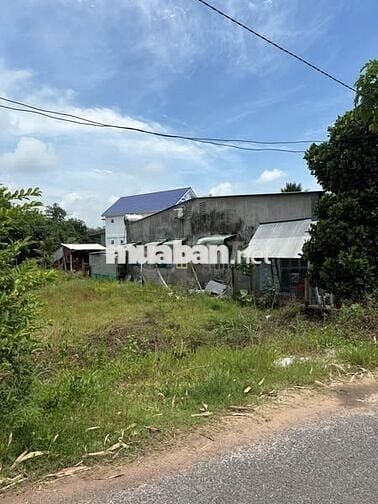 BÁN GẤP 133m2 ĐẤT THỔ NGAY THỊ XÃ TRẢNG BÀNG