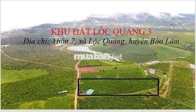 🌿 CHÍNH CHỦ BÁN 33 LÔ ĐẤT TẠI LỘC QUẢNG – BẢO LỘC, LÂM ĐỒNG 🌿