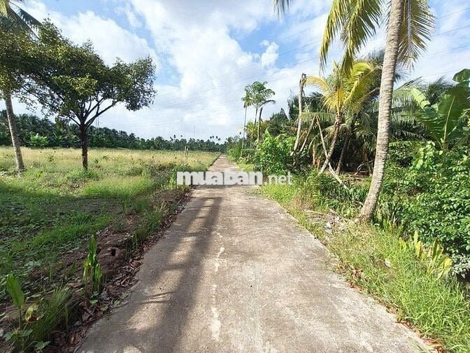 🌳Bán đất vườn16.000m² nhà 3PN–sát cầu Rạch Miễu 2 (800m) mới thông xe
