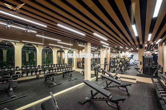 Miễn Phí Gym Yoga Cho Phòng 35m2 Thang Máy Hầm Xe Lớn Nơ Trang Long