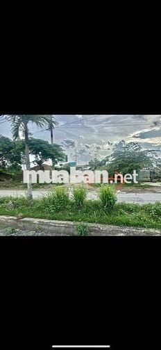 Đất mt đối diện trường học cấp 1-2