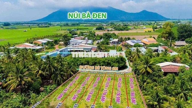 Đất Nền Khu Dân Cư Tại DMC Tây Ninh