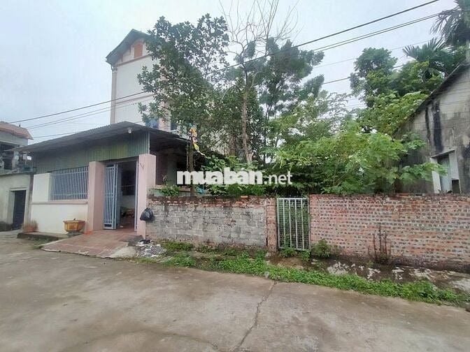 Cần bán 64m2 Phụng Châu, đường 6m. Giá 3.5 tỷ