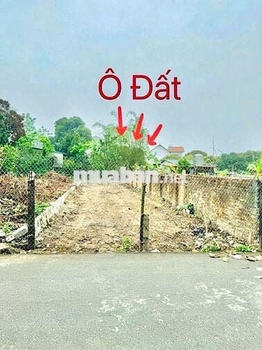1 LÔ *** NGUYỄN THỊ LẮNG GIÁ NGỘP 460 TRIỆU,5M X 26M, FULL THỔ CƯ