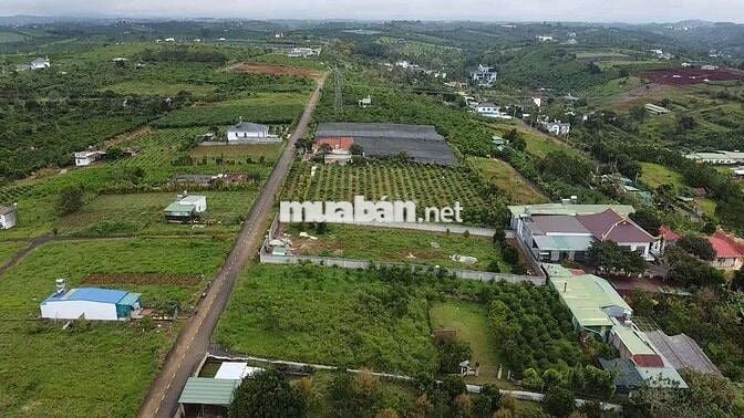 Mặt tiền Nguyễn Trãi view đẹp nhất Bảo Lộc.