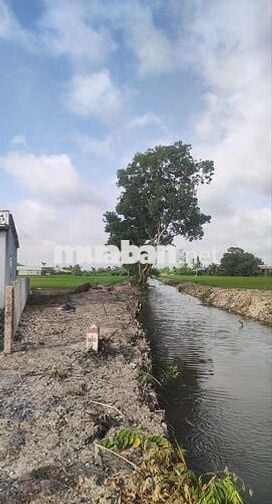 Đất mặt tiền 154m2 đường Nguyễn Quang Đại