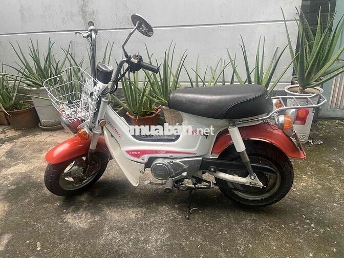 xe chaly 79 nguyên bản