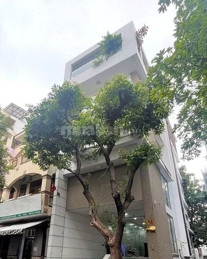 Bán nhà mặt tiền Hoa Cau, Phú Nhuận, DT 105m², hầm, trệt, 3 lầu
