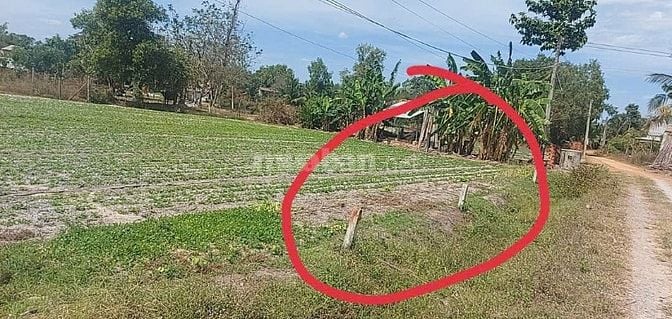 CHÍNH CHỦ CẦN BÁN LÔ ĐẤT THỔ CƯ 100%