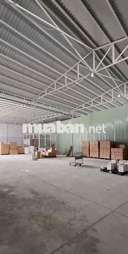 Cần cho thuê gấp kho diện tích lên đến 2000m2 ở Đường Phú Thuận