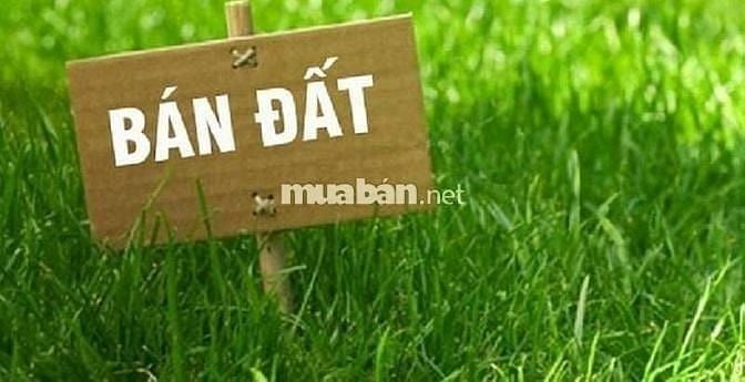 Bán đất đường Bình Lợi, phường Bình Lợi Trung mới, Bình Thạnh, 174,9m2