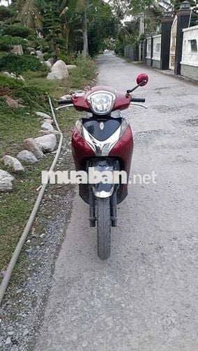 SHMODE K9 CHỦ CẦN BÁN