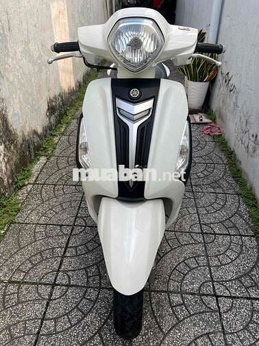 Grande bản ĐB. bs65 zin đẹp