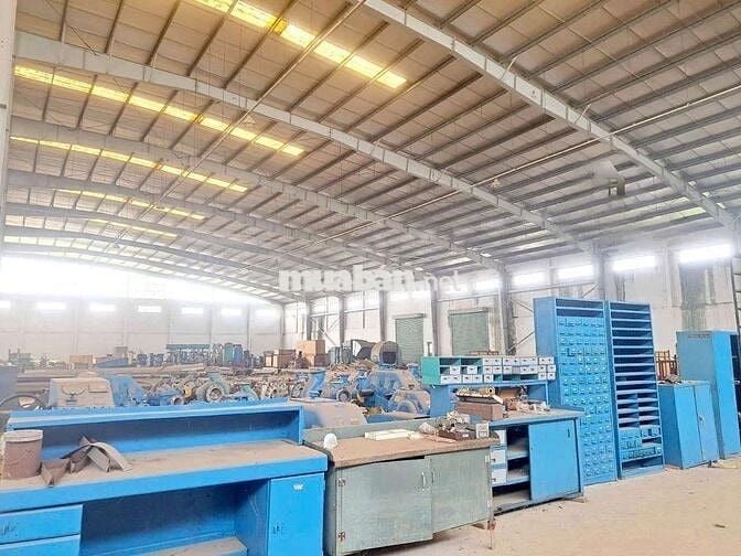 Cho thuê kho, giấy phép đạt chuẩn, xã Long Phước, Long Thành, Đồng Nai