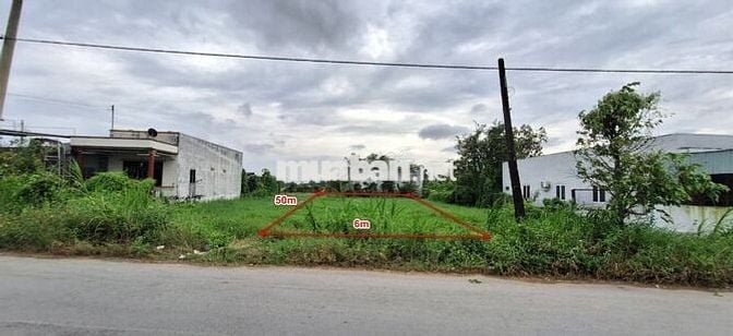 Chính chủ thổ cư 300m2 Võ Duy Tạo- Thành phố Tân an
